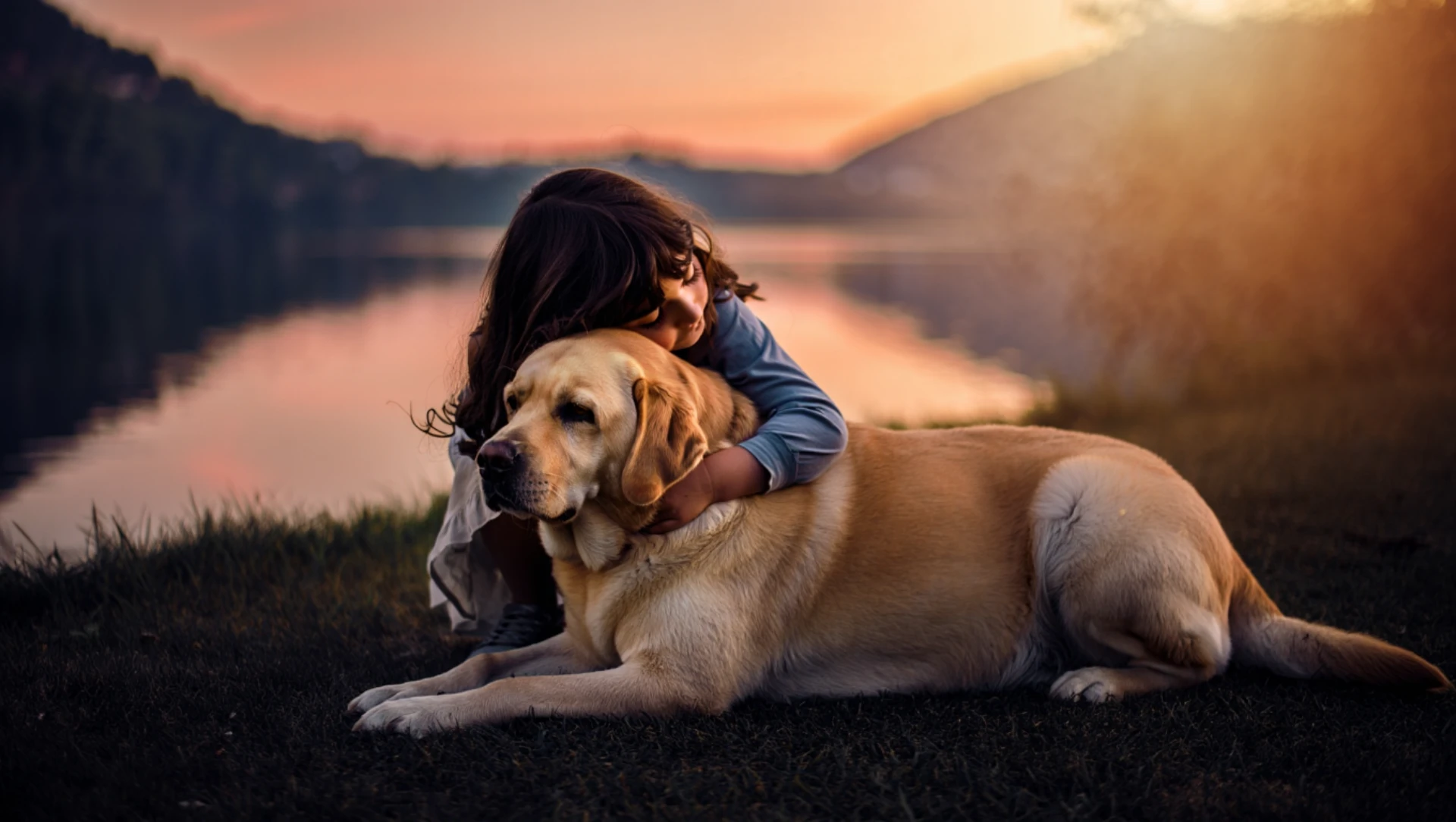 cremazione-animali-luino